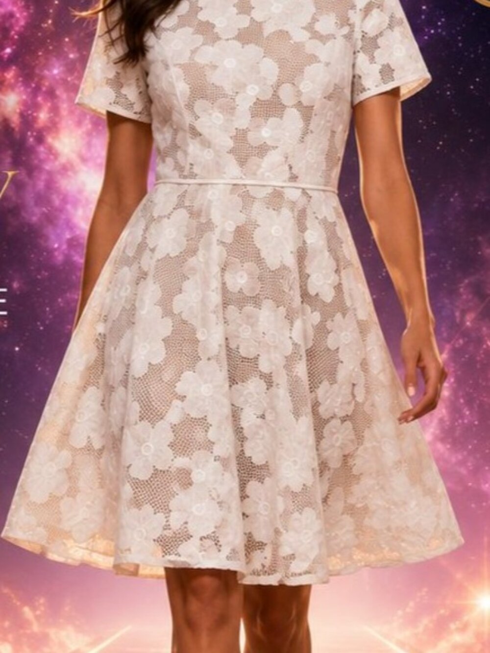 SHANI Collection Sz 4 White Floral Mesh Lace Fit & Flare Cocktail Dress NWT